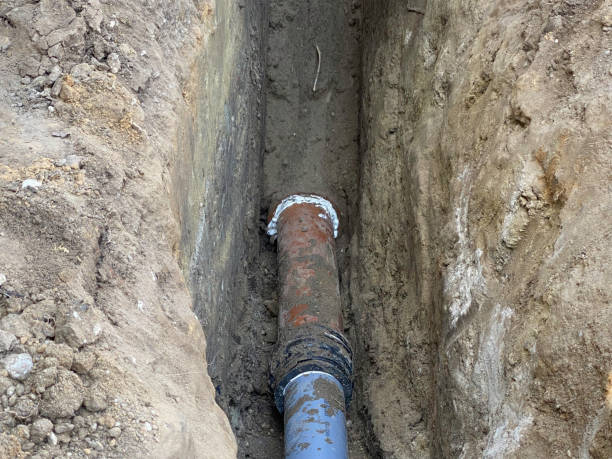 Best Flood damage cleanup  in Ida Grove, IA