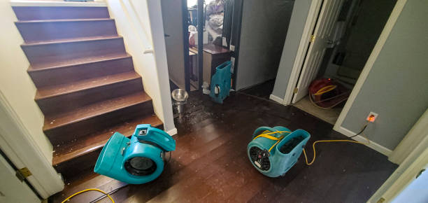 Best Emergency water damage restoration  in Ida Grove, IA