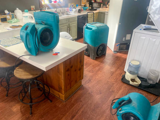 Best Residential water damage restoration  in Ida Grove, IA
